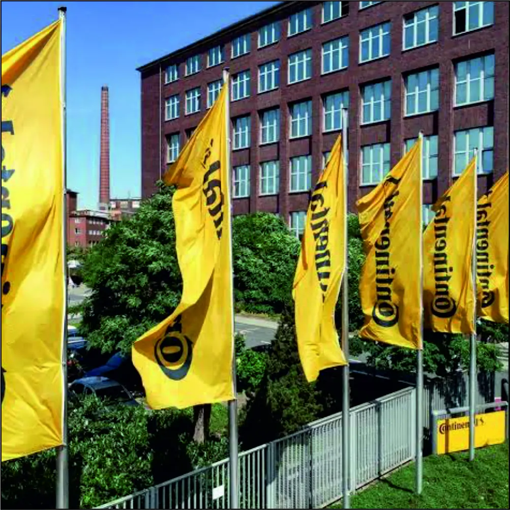 Customized Flags 4